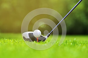 Golf ball on tee in front of driver on a gold course grass green field,the driver positioned ready to hit the ball