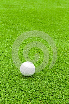 Golf ball on tee in front of driver on green course