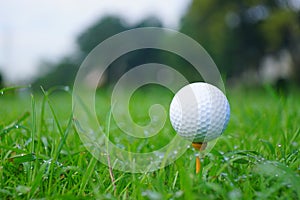 Golf ball and tee with gold course background ready to tee off