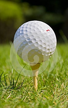 Golf ball on tee at golf course