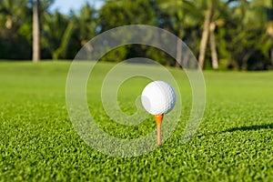 Golf ball on tee on golf course over a blurred green field.