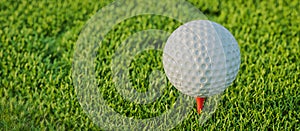 Golf, Ball, Tee, Grass, 3D, Rendering, Illustration
