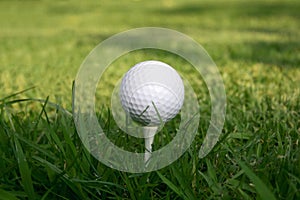 Golf Ball Tee Grass green