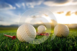 The golf ball and tee pegs on the green background with sunset