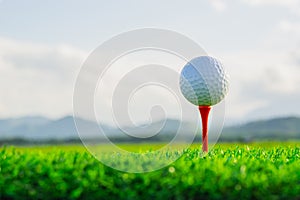 The golf ball on tee pegs ready to play and on green grass in the nature background