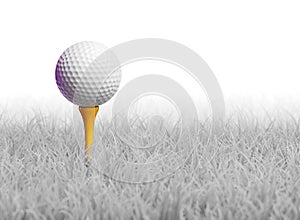 Golf Ball on Tee in White Grass