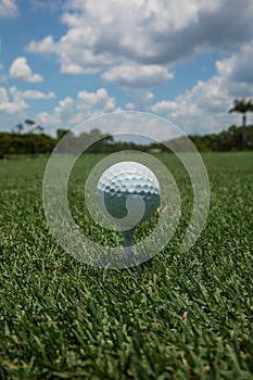 Golf ball teed up on a tee on the green under a blue sky