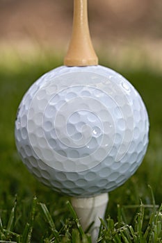 Golf ball between tees