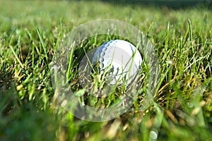 Golf ball on wet lush fairway