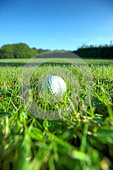 Golf ball on wet lush fairway