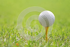 Golf ball on wooden golf tee.