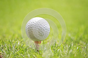 Golf ball on wooden golf tee.