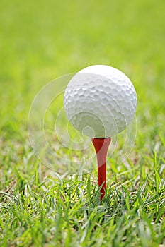 Golf ball on wooden golf tee.