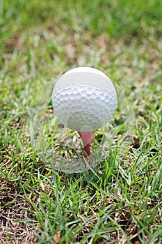 Golf ball on wooden golf tee.