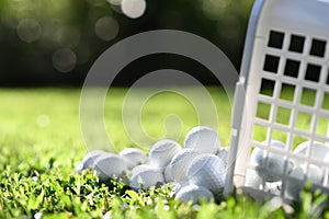 Golf balls in basket on green grass for practice