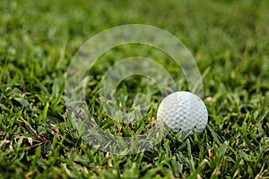 Golf balls on the green grass