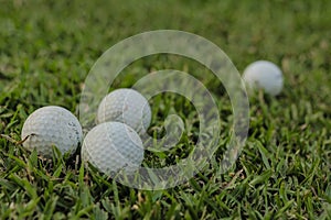 Golf balls on the green grass