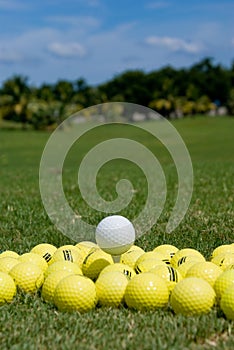 Golf Balls (Medaphore) photo