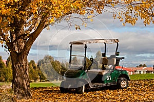 Golf Buggy