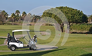 Golf Caddy on the course