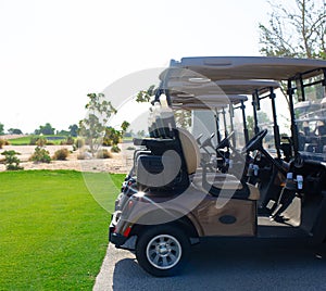 Golf cart on a golf closure. Golf carts and palm tree on blue