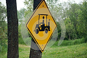 Golf Cart Crossing