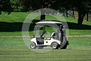 Golf cart on the fairway of a course