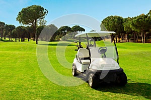 Golf cart in fairway of golf course with green grass field with blue sky and trees