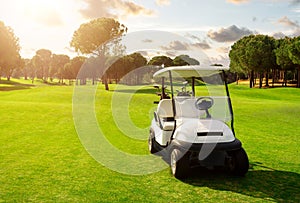 Golf cart in fairway of golf course with green grass field with cloudy sky and trees at sunset