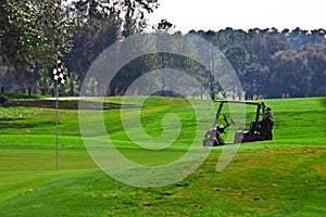 Golf cart on golf course