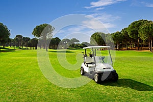 Golf cart on a golf course with green grass field with blue sky and trees in Belek, Turkey