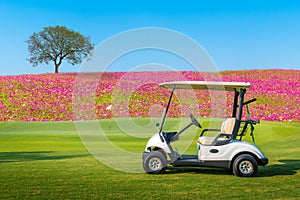 A Golf cart parking on green grass at golf course with big tree