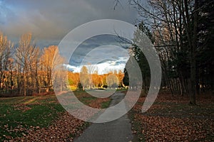 Golf Cart Path in Autumn