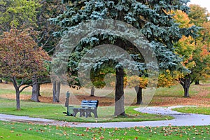 Golf Cart Path and Bench in Autumn