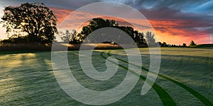 Golf cart tracks on a golf course during a dramatic sunrise