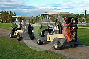 Golf Carts photo