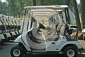 Golf carts photo