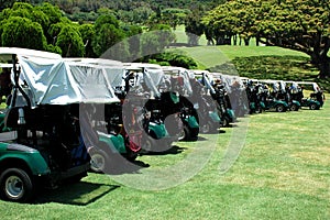 Golf Carts