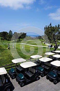 Golf carts on beautiful golf