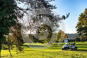 Golf carts on a golf course