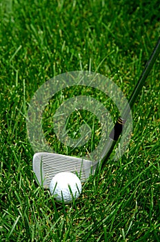 Golf Club and Ball in Grass