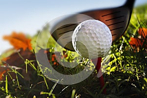 Golf club and ball in grass