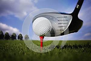 Golf club and ball in grass