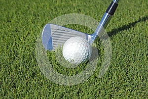 Golf club and ball in grass