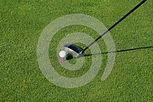 Golf club and ball in grass