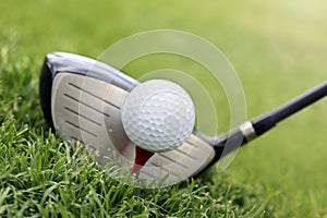 Golf club and ball in grass