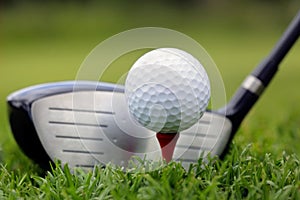 Golf club and ball in grass