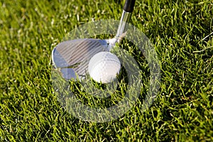 Golf Club And Ball On Grass