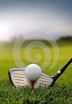 Golf club and ball in grass