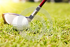 Golf club and ball in grass